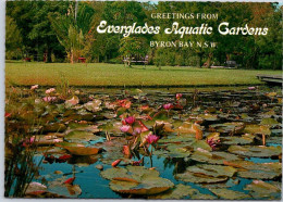 5-3-2024 (2 Y 11) Australia - NSW - Byron Bay - Everglades Aquatic Gardens - Autres & Non Classés