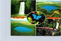 5-3-2024 (2 Y 11) Australia - QLD - Atherton Tablelands (train / Butterfly) - Atherton Tablelands