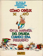 Cómo Obélix Se Cayó En La Marmita Del Druida Cuando Era Pequeño - Gosciny Y Uderzo - Andere & Zonder Classificatie