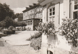 AK Bad Salzhausen - Kurhaus - 1955 (67900) - Wetterau - Kreis