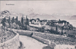 Grandvaux VD, Vignes Et Village (5.6.1910) - Grandvaux