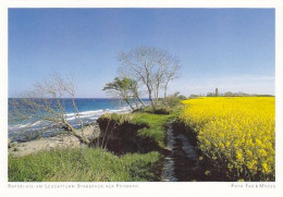 AK 206188 GERMANY - Rapsblüte Am Leuchtturm Staberhuk Auf Fehmarn - Fehmarn