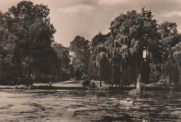 3202 - Glauchau - Parkanlage Mit Blick Zur Freilichtbühne - 1970 - Glauchau