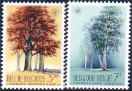 198 Belgium Nature Trees Arbres Beech Bouleau MNH ** Neuf SC (BEL-226b) - Trees