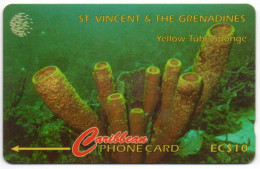 St. Vincent & The Grenadines - Yellow Tube Sponge - 52CSVF - St. Vincent & The Grenadines