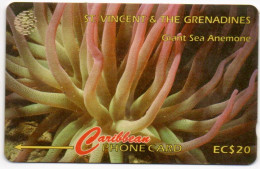 St. Vincent & The Grenadines - Giant Sea Anemone - 52CSVG - St. Vincent & Die Grenadinen