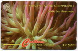 St. Vincent & The Grenadines - Giant Sea Anemone - 101CSVB - St. Vincent & Die Grenadinen