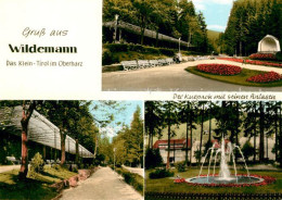 73174973 Wildemann Kurpark  Wildemann - Wildemann