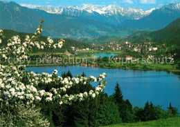 73172934 Buehl Alpsee Panorama Buehl Alpsee - Immenstadt