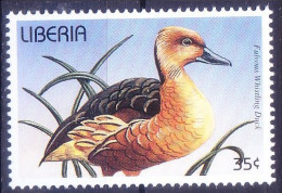 Fulvous Whistling Duck, Ducks, Water Birds, Liberia 1996 MNH - Anatre