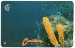 Turks & Caicos - Yellow Tube Sponge - 7CTCA - Turks E Caicos (Isole)