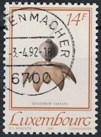 Luxemburg - Gewimperter Erdstern (Geastrum Varians) (MiNr: 1267) 1991 - Gest Used Obl - Oblitérés