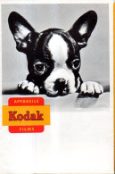 Pochette Kodak (vierge) - Materiale & Accessori