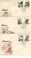 Poland 1980 Medicinal Plants,set 3,First Day Cover - FDC