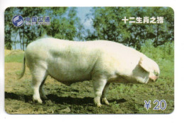 Cochon Pig Télécarte Chine Phonecard  (G 1060) - Chine