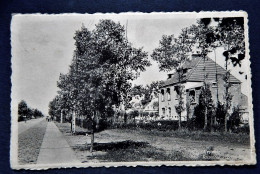 WESTENDE  -   " Rozenhof " - Westende