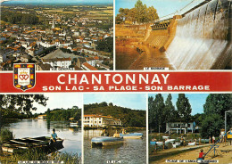 85 CHANTONNAY MULTIVUES - Chantonnay