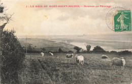 FRANCE - Le Mont Saint Michel - Moutons Au Pâturage - Carte Postale Ancienne - Le Mont Saint Michel