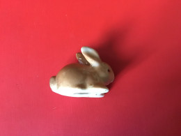 Grosse Fève Du Midi Trouée Lapin  4 X 2,25 Cm - Animaux