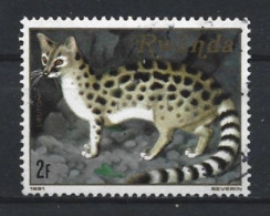 Rwanda 1981 Fauna  Y.T. 1007 (0) - Oblitérés