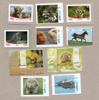 040] BRD - Privatpost  - 10 W - Waldtiere (Waschbär, Bison, Zebra, Meerschweinchen , Eichhörnchen,..) - Private & Local Mails