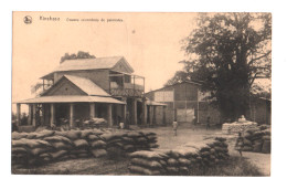 AFRIQUE. KINSHASA. DOUANES ENCOMBREE De PALMISTES. - Congo Belge