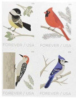 VEREINIGTE STAATEN ETATS UNIS USA 2018 BIRDS IN WINTER SET 4V MNH SN 5317-20 MI 5537-40 YT 5155-58 - Ongebruikt