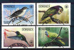 Dominica 1984 WWF Birds Y.T. 794/797 (0) - Dominique (1978-...)