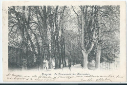 Tongeren - Tongres - La Promenade Des Marroniers - 1903 - Tongeren