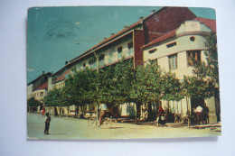 Montenegro, Ivangrad, 1963 - Montenegro