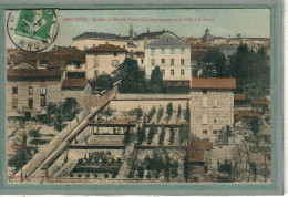 CPA (69) AMPLEPUIS - Aspect Du Jardin Et De La Maison Fessel En 1909 - Carte Rare En Colorisée - Amplepuis