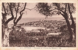 FRANCE - Antibes - Panorama De La Ville Vu à Travers Les Oliviers - LL - Carte Postale Ancienne - Altri & Non Classificati