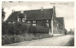 BELGIQUE - Momalle - Vue Sur La Ferme Manjean - Vue Panoramique - Carte Postale Ancienne - Remicourt