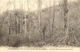 - Deux Sèvres -ref-B13- Champdeniers - Rochers De La Chaise - - Champdeniers Saint Denis