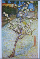 NETHERLANDS HOLLAND AMSTERDAM VINCENT VAN GOGH PINK ORCHARD MUSEUM ART VINTAGE POSTCARD PC CPM CARTOLINA - Austerlitz