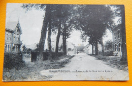 MARIEMBOURG  -  Avenue De La Rue De La Reine  -  1923 - Couvin