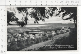 Luftkurort Walzenhausen - Blick Auf Bodensee U. Pfänder - Walzenhausen