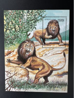 Bénin 2001 Mi. Bl. 1324 - 1326 Lions Africains Lion Löwe Faune Fauna Zèbre Zebra Buffle MNH** - Felinos