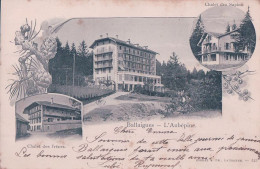 Ballaigues VD, L'Aubépine, Chalet Des Frênes Et Des Sapins (11.1.1902) Rouille - Ballaigues