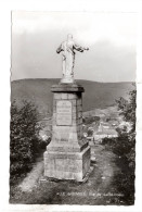 Alle Vue Du Sacré Coeur - Vresse-sur-Semois