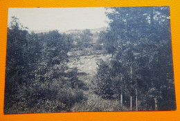 COUVIN  -   Parc De Saint-Roch - Perspective - Couvin