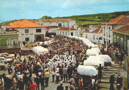 ILHA TERCEIRA , Açores - Festa Espirito Santo E Carros De Toldos  (2 Scans) - Açores