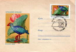 FDC  SOVJET UNION, Morhen   /  UNION SOWJÉTIQUE  Lettre De Première Jours, Poule D`eau  1969 - Gallinacées & Faisans