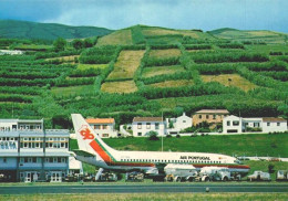 ILHA DO FAIAL, Fayal , Açores - Aeroporto Da Horta E Avião Da TAP  (2 Scans) - Açores