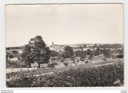 57 SARREINSMING Vers Sarreguemines N°6804 Vue Générale Voie Ferrée Pont Métallique VOIR DOS En 1962 - Sarreguemines