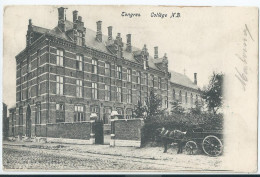 Tongeren - Tongres - Collège N.D. - 1904 - Tongeren