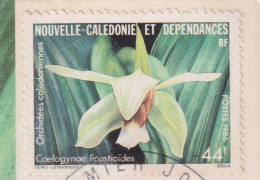 Nouvelle Calédonie 1986 - YT 520 (o) Sur Fragment - Gebruikt