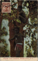 PHILIPPINES   NEGRITO TREE CLIMBERS BATAAN    En 1913 - Filippine