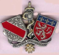 @@ Broche Insigne épée Glaive Militaire Service De Santé Des Armées Pro Patria Et Humanitate FIA LYON (4X4.5) @@gen22 - Servicios Medicos