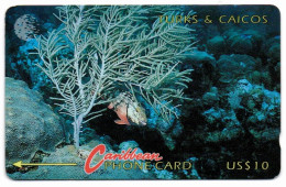 Turks & Caicos - Fish & Coral - 4СТCA - Turcas Y Caicos (Islas)